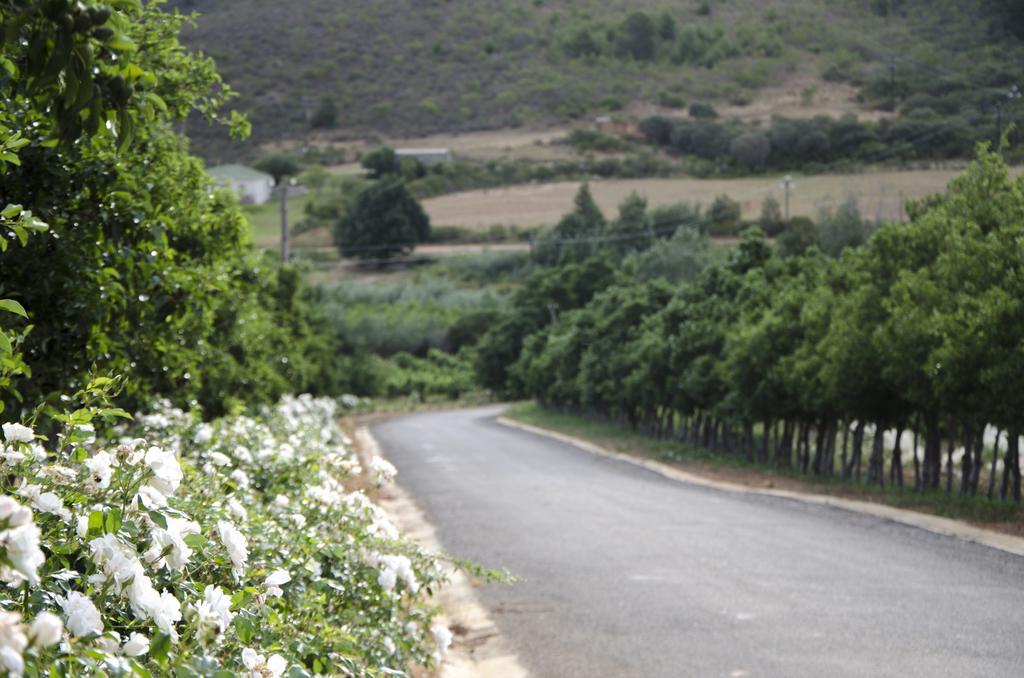 Boesmanspad Bushmanspad Estate מראה חיצוני תמונה